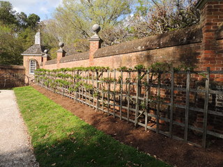 Filename=DSCN2290.JPG
Filesize=4968KiB
Dimensions=4608x3456
Date added=Sep 19, 2019 DSCN2290.JPG