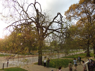 Filename=DSCN2298.JPG
Filesize=5006KiB
Dimensions=4608x3456
Date added=Sep 19, 2019 DSCN2298.JPG