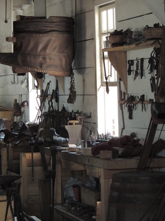 Filename=DSCN2345.JPG
Filesize=5484KiB
Dimensions=3456x4608
Date added=Sep 19, 2019 DSCN2345.JPG