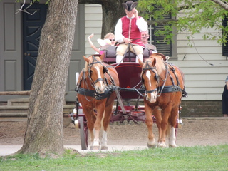 Filename=DSCN2421.JPG
Filesize=6143KiB
Dimensions=4608x3456
Date added=Sep 19, 2019 DSCN2421.JPG