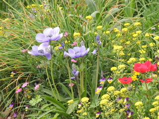 Filename=DSCN2434.JPG
Filesize=6299KiB
Dimensions=4608x3456
Date added=Sep 19, 2019 DSCN2434.JPG