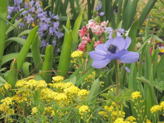 Filename=DSCN2435.JPG
Filesize=5735KiB
Dimensions=4608x3456
Date added=Sep 19, 2019 DSCN2435.JPG