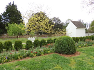 Filename=DSCN2438.JPG
Filesize=4979KiB
Dimensions=4608x3456
Date added=Sep 19, 2019 DSCN2438.JPG