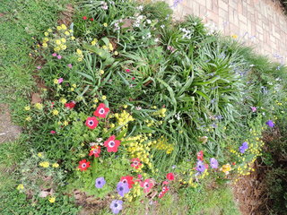 Filename=DSCN2439.JPG
Filesize=4832KiB
Dimensions=4608x3456
Date added=Sep 19, 2019 DSCN2439.JPG