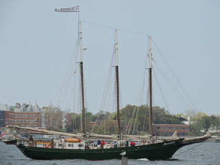 Filename=DSCN2478.JPG
Filesize=5495KiB
Dimensions=4608x3456
Date added=Sep 19, 2019 DSCN2478.JPG