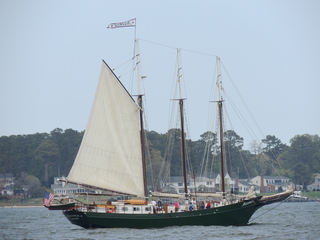 Filename=DSCN2489.JPG
Filesize=5716KiB
Dimensions=4608x3456
Date added=Sep 19, 2019 DSCN2489.JPG