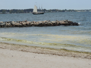 Filename=DSCN2490.JPG
Filesize=6277KiB
Dimensions=4608x3456
Date added=Sep 19, 2019 DSCN2490.JPG