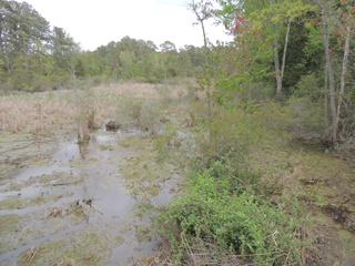 Filename=DSCN2500.JPG
Filesize=5546KiB
Dimensions=4608x3456
Date added=Sep 19, 2019 DSCN2500.JPG