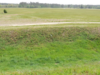 Filename=DSCN2609.JPG
Filesize=5334KiB
Dimensions=4608x3456
Date added=Sep 19, 2019 DSCN2609.JPG