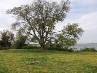 Filename=DSCN2627.JPG
Filesize=5048KiB
Dimensions=4608x3456
Date added=Sep 19, 2019 DSCN2627.JPG