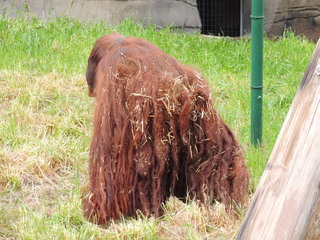 Filename=DSCN2636.JPG
Filesize=5840KiB
Dimensions=4608x3456
Date added=Sep 19, 2019 DSCN2636.JPG