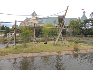 Filename=DSCN2640.JPG
Filesize=5413KiB
Dimensions=4608x3456
Date added=Sep 19, 2019 DSCN2640.JPG