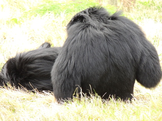 Filename=DSCN2641.JPG
Filesize=6200KiB
Dimensions=4608x3456
Date added=Sep 19, 2019 DSCN2641.JPG