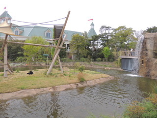 Filename=DSCN2642.JPG
Filesize=5510KiB
Dimensions=4608x3456
Date added=Sep 19, 2019 DSCN2642.JPG