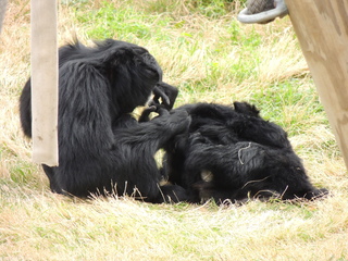 Filename=DSCN2645.JPG
Filesize=6255KiB
Dimensions=4608x3456
Date added=Sep 19, 2019 DSCN2645.JPG