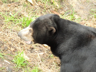 Filename=DSCN2647.JPG
Filesize=6274KiB
Dimensions=4608x3456
Date added=Sep 19, 2019 DSCN2647.JPG