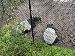 Filename=DSCN2655.JPG
Filesize=4936KiB
Dimensions=4608x3456
Date added=Sep 19, 2019 DSCN2655.JPG