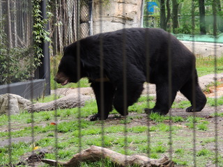 Filename=DSCN2656.JPG
Filesize=6052KiB
Dimensions=4608x3456
Date added=Sep 19, 2019 DSCN2656.JPG