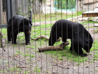 Filename=DSCN2657.JPG
Filesize=5702KiB
Dimensions=4608x3456
Date added=Sep 19, 2019 DSCN2657.JPG