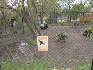 Filename=DSCN2659.JPG
Filesize=5493KiB
Dimensions=4608x3456
Date added=Sep 19, 2019 DSCN2659.JPG