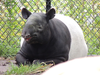 Filename=DSCN2664.JPG
Filesize=6157KiB
Dimensions=4608x3456
Date added=Sep 19, 2019 DSCN2664.JPG