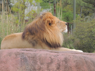 Filename=DSCN2695.JPG
Filesize=5809KiB
Dimensions=4608x3456
Date added=Sep 19, 2019 DSCN2695.JPG