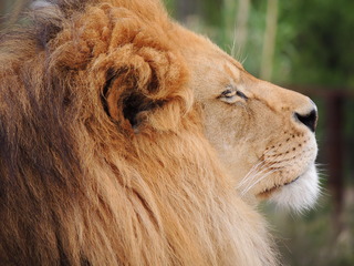 Filename=DSCN2696.JPG
Filesize=5916KiB
Dimensions=4608x3456
Date added=Sep 19, 2019 DSCN2696.JPG