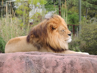 Filename=DSCN2698.JPG
Filesize=6159KiB
Dimensions=4608x3456
Date added=Sep 19, 2019 DSCN2698.JPG