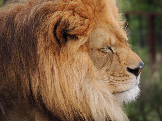 Filename=DSCN2699.JPG
Filesize=6076KiB
Dimensions=4608x3456
Date added=Sep 19, 2019 DSCN2699.JPG