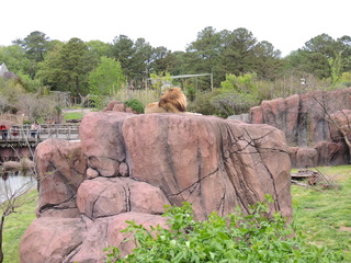 Filename=DSCN2701.JPG
Filesize=5672KiB
Dimensions=4608x3456
Date added=Sep 19, 2019 DSCN2701.JPG