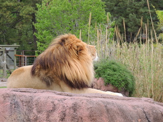 Filename=DSCN2702.JPG
Filesize=6055KiB
Dimensions=4608x3456
Date added=Sep 19, 2019 DSCN2702.JPG