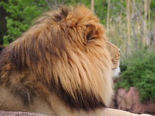 Filename=DSCN2703.JPG
Filesize=6147KiB
Dimensions=4608x3456
Date added=Sep 19, 2019 DSCN2703.JPG