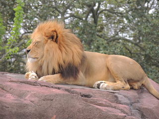 Filename=DSCN2704.JPG
Filesize=6310KiB
Dimensions=4608x3456
Date added=Sep 19, 2019 DSCN2704.JPG