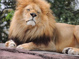 Filename=DSCN2708.JPG
Filesize=6227KiB
Dimensions=4608x3456
Date added=Sep 19, 2019 DSCN2708.JPG