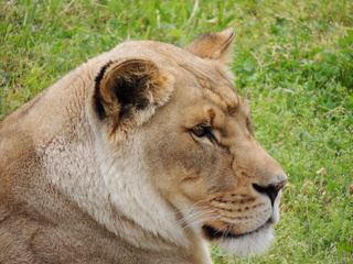 Filename=DSCN2714.JPG
Filesize=6220KiB
Dimensions=4608x3456
Date added=Sep 19, 2019 DSCN2714.JPG