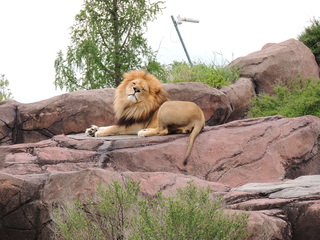 Filename=DSCN2716.JPG
Filesize=6062KiB
Dimensions=4608x3456
Date added=Sep 19, 2019 DSCN2716.JPG