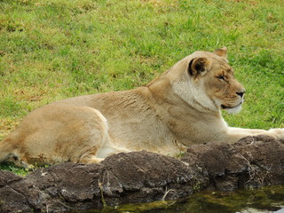 Filename=DSCN2721.JPG
Filesize=5699KiB
Dimensions=4608x3456
Date added=Sep 19, 2019 DSCN2721.JPG