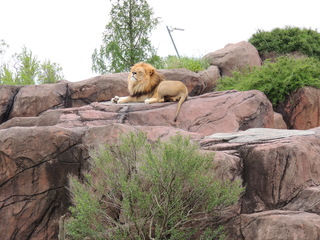 Filename=DSCN2723.JPG
Filesize=6033KiB
Dimensions=4608x3456
Date added=Sep 19, 2019 DSCN2723.JPG