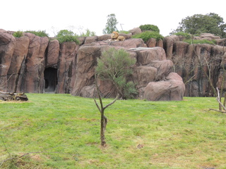 Filename=DSCN2724.JPG
Filesize=6242KiB
Dimensions=4608x3456
Date added=Sep 19, 2019 DSCN2724.JPG