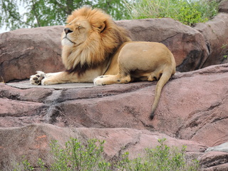 Filename=DSCN2725.JPG
Filesize=6038KiB
Dimensions=4608x3456
Date added=Sep 19, 2019 DSCN2725.JPG