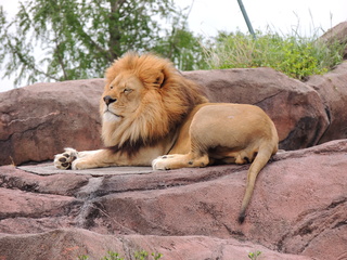 Filename=DSCN2727.JPG
Filesize=6232KiB
Dimensions=4608x3456
Date added=Sep 19, 2019 DSCN2727.JPG