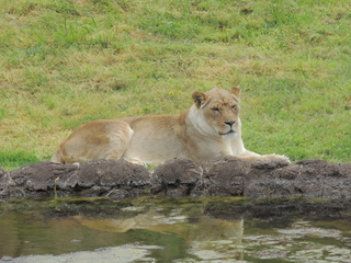 Filename=DSCN2731.JPG
Filesize=6277KiB
Dimensions=4608x3456
Date added=Sep 19, 2019 DSCN2731.JPG