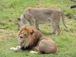 Filename=DSCN2737.JPG
Filesize=5940KiB
Dimensions=4608x3456
Date added=Sep 19, 2019 DSCN2737.JPG