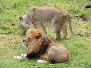 Filename=DSCN2741.JPG
Filesize=5637KiB
Dimensions=4608x3456
Date added=Sep 19, 2019 DSCN2741.JPG