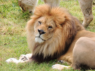 Filename=DSCN2743.JPG
Filesize=6035KiB
Dimensions=4608x3456
Date added=Sep 19, 2019 DSCN2743.JPG