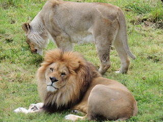 Filename=DSCN2744.JPG
Filesize=5814KiB
Dimensions=4608x3456
Date added=Sep 19, 2019 DSCN2744.JPG