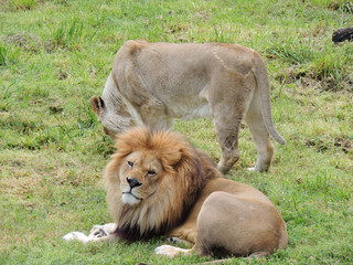 Filename=DSCN2745.JPG
Filesize=5693KiB
Dimensions=4608x3456
Date added=Sep 19, 2019 DSCN2745.JPG