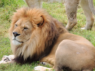 Filename=DSCN2746.JPG
Filesize=6058KiB
Dimensions=4608x3456
Date added=Sep 19, 2019 DSCN2746.JPG