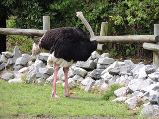 Filename=DSCN2754.JPG
Filesize=6025KiB
Dimensions=4608x3456
Date added=Sep 19, 2019 DSCN2754.JPG