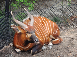 Filename=DSCN2759.JPG
Filesize=6047KiB
Dimensions=4608x3456
Date added=Sep 19, 2019 DSCN2759.JPG